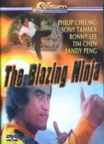 The Blazing Ninja (1973) afişi