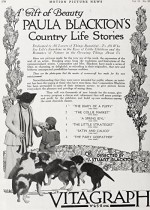 The Collie Market (1917) afişi