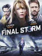 The Final Storm (2010) afişi