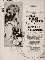 The Gentle ıntruder (1917) afişi