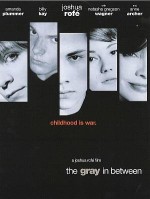 The Gray In Between (2002) afişi
