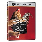 The Natural History Of The Chicken (2000) afişi