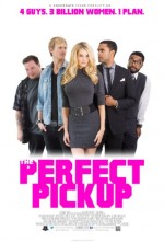 The Perfect Pickup (2016) afişi