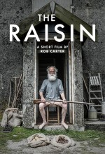 The Raisin (2017) afişi