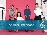 The Work Experience (2012) afişi
