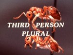 Third Person Plural (1978) afişi