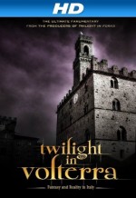 Twilight in Volterra (2013) afişi