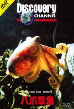 Ultimate Guide: Octopus (1999) afişi