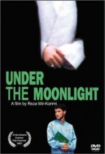 Under The Moonlight (2001) afişi