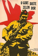 U gori raste zelen bor (1971) afişi