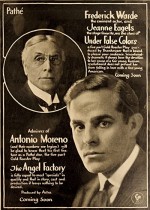 Under False Colors (1917) afişi