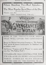 Vengeance - And The Woman (1917) afişi