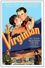 Virginia'lı (1929) afişi