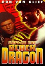 Way Of The Black Dragon (1978) afişi