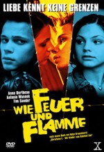 Wie Feuer Und Flamme (2001) afişi