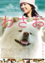 Wasao (2011) afişi