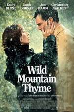 Wild Mountain Thyme (2020) afişi