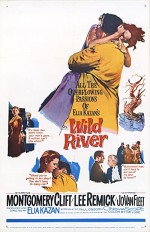 Wild River (1960) afişi