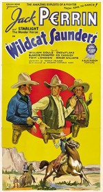 Wildcat Saunders (1936) afişi