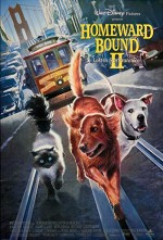 Yuvaya Dönüş 2 : Lost In San Francisco (1996) afişi