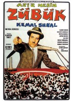 Zübük (1980) afişi