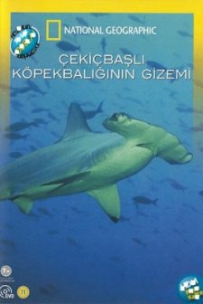 Çekiçbaşlı Köpekbalığının Gizemi (2008) afişi