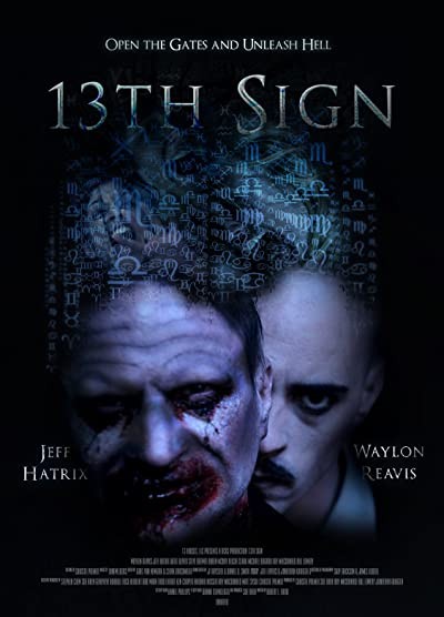 13th Sign (2011) afişi 13th Sign (2011) afişi