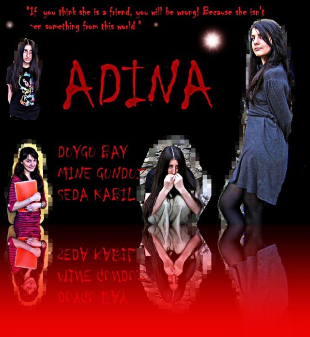 Adina (2010) afişi Adina (2010) afişi