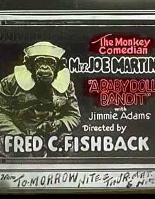 A Baby Doll Bandit (1920) afişi