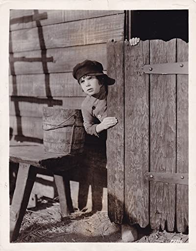 A Boy Of Flanders (1924) afişi A Boy Of Flanders (1924) afişi