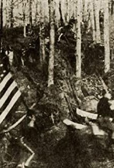 A Fair Rebel (1914) afişi