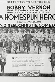 A Home Spun Hero (1920) afişi