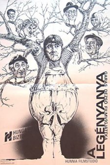 A Legényanya (1989) afişi
