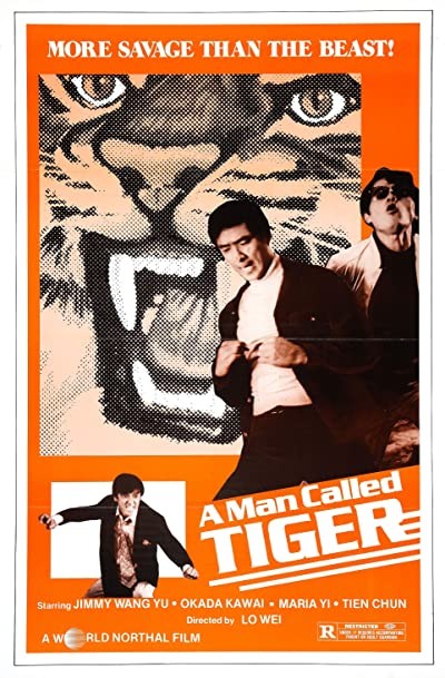 A Man Called Tiger (1973) afişi A Man Called Tiger (1973) afişi