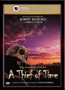 A Thief of Time (2004) afişi A Thief of Time (2004) afişi