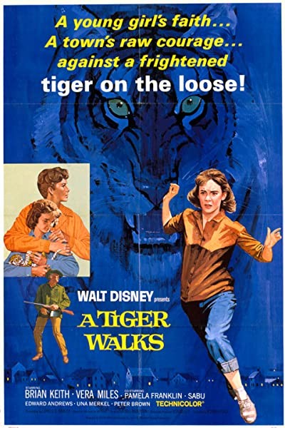A Tiger Walks