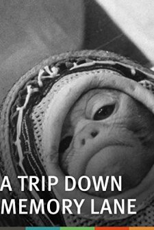 A Trip Down Memory Lane (1965) afişi