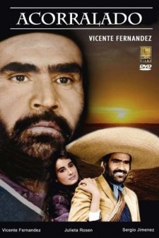 Acorralado (1984) afişi