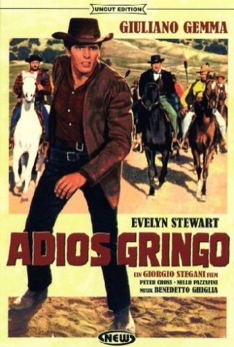 Adiós Gringo (1965) afişi Adiós Gringo (1965) afişi