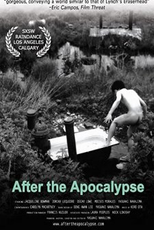 After The Apocalypse (2004) afişi