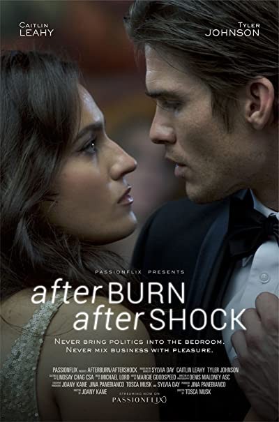 Afterburn/Aftershock (2017) afişi Afterburn/Aftershock (2017) afişi