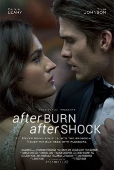 Afterburn/Aftershock (2017) afişi