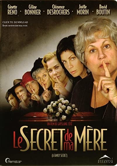 Aile Sırrı (2006) afişi Aile Sırrı (2006) afişi
