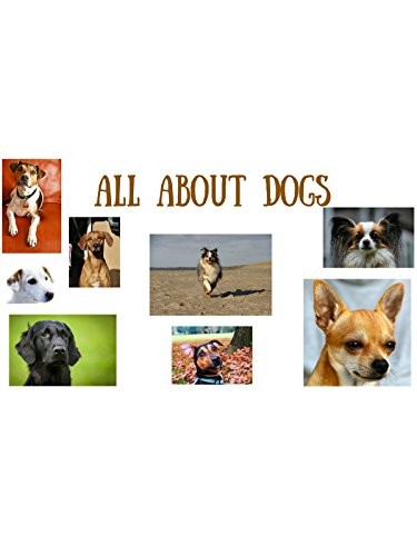 All About Dogs (1942) afişi