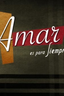 Amar en tiempos revueltos (2013) afişi