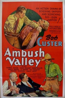 Ambush Valley (1936) afişi