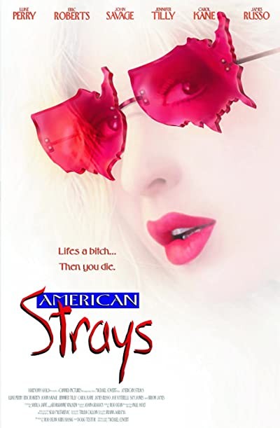 American Strays (1996) afişi