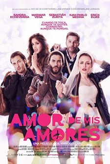 Amor de mis amores (2014) afişi
