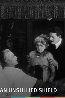 An Unsullied Shield (1913) afişi