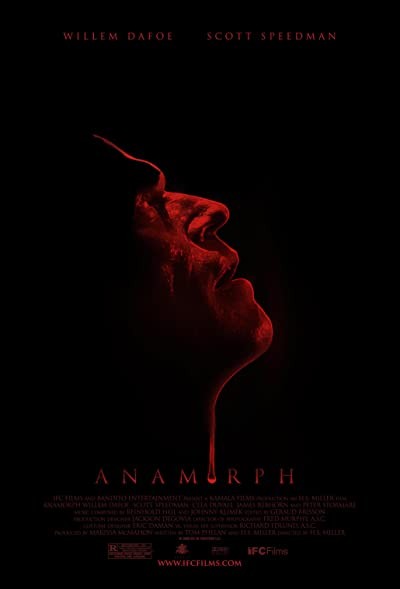 Anamorf (2007) afişi Anamorf (2007) afişi